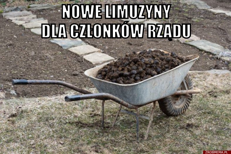 Nowe limuzyny dla członków rządu