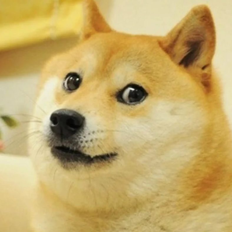 Doge Meme - czysty szablon