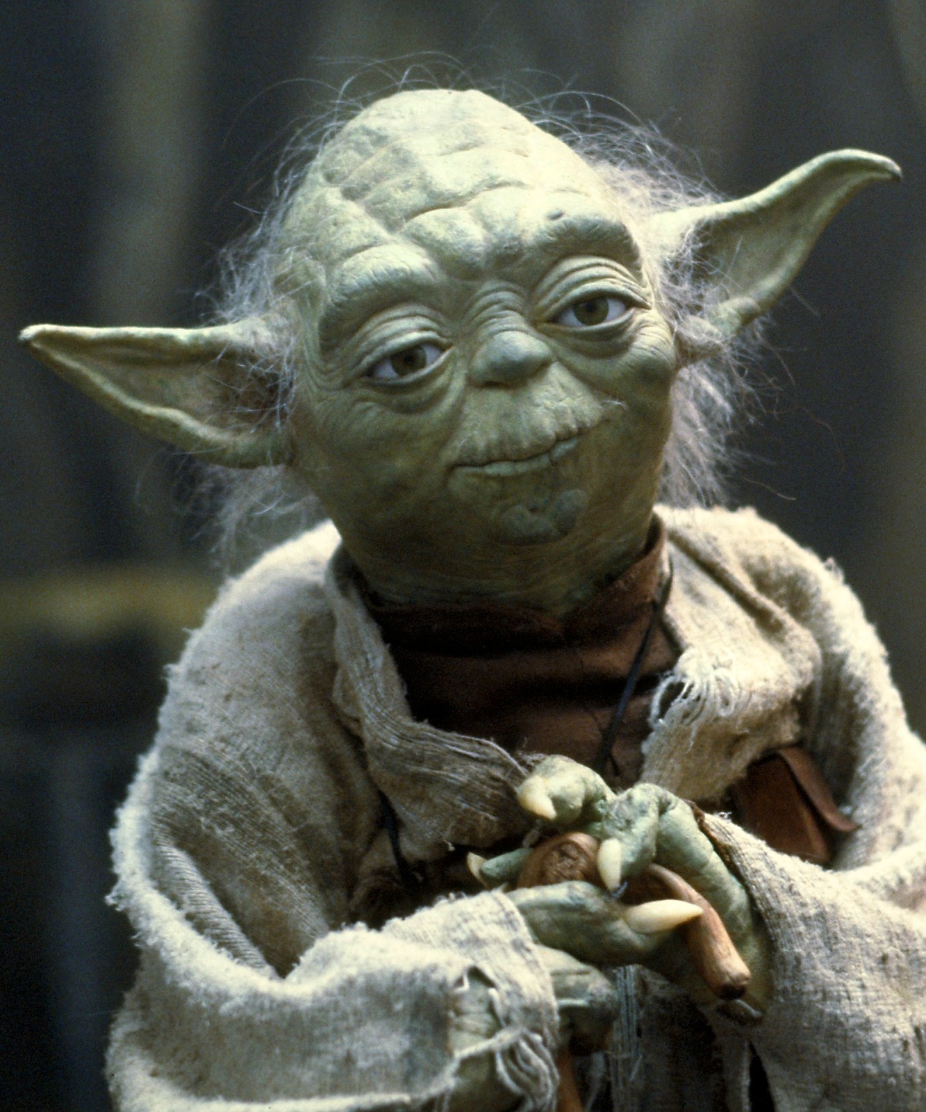 Mistrz Yoda Meme – czysty szablon